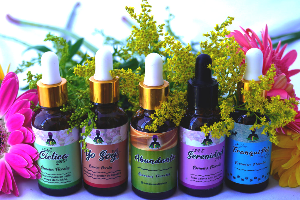 Kit "Camino al Bienestar" (Personaliza tu Trío)